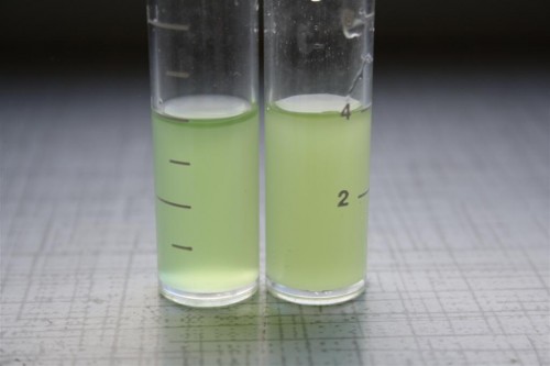 Billede 004 (Large).jpg