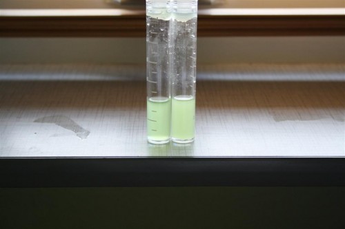 Billede 001 (Large).jpg