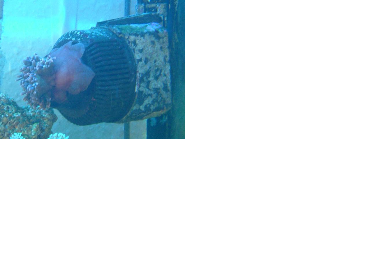 DSCF0963.JPG
