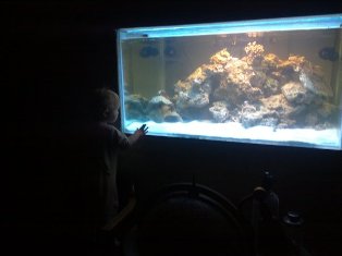 Første morgen med vand i, den mindste tøs var næsten ikke til at få derfra og få til at spise morgenmad