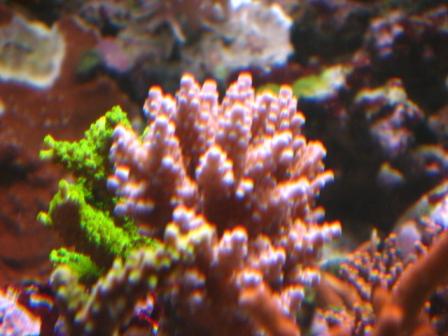 IMG_7309.JPG