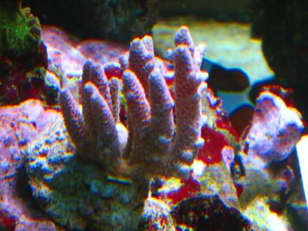 IMG_7316.JPG