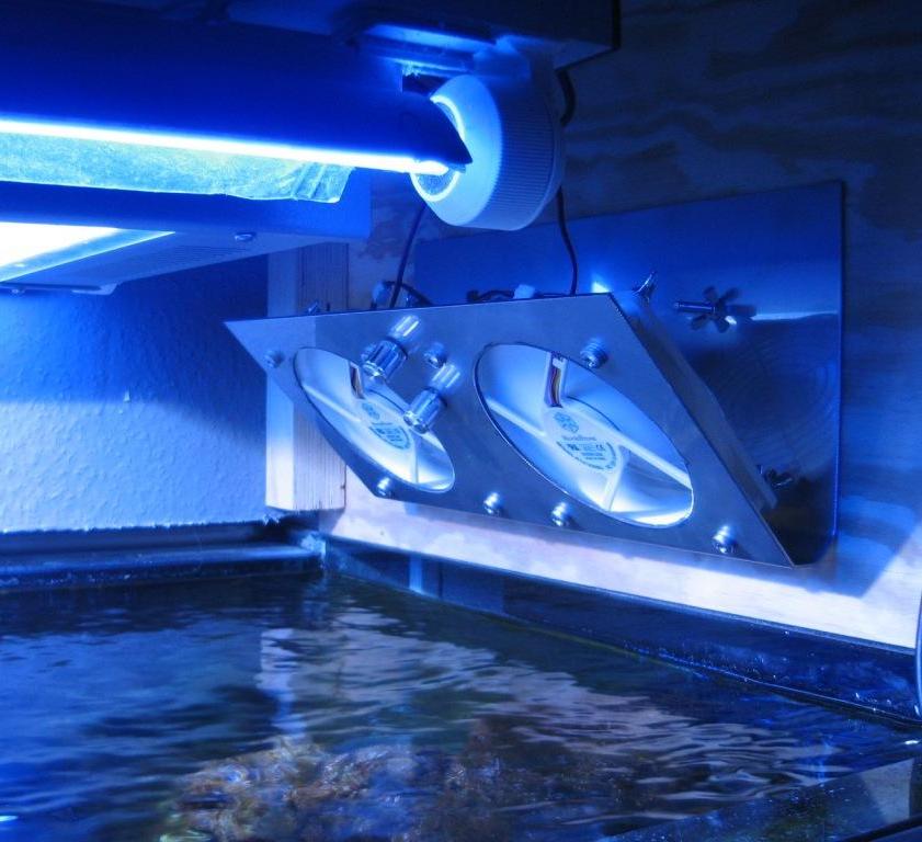 res_IMG_2537.JPG