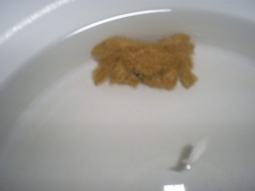 S5030526 [Skrivebordets opløsning] [].JPG