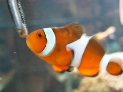 IMG_4110 (Medium).JPG