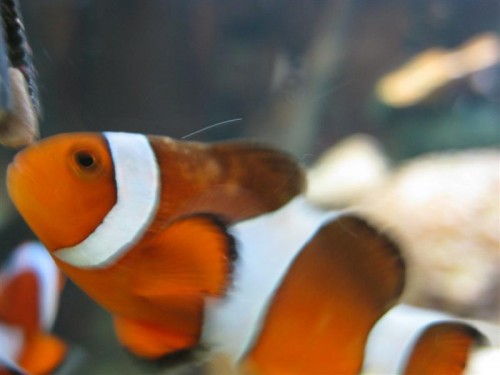 IMG_4113 (Medium).JPG