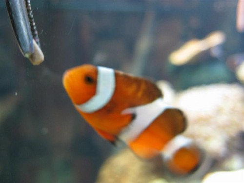 IMG_4115 (Medium).JPG