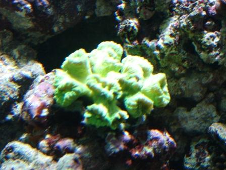 DSC07022.JPG