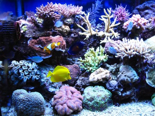 IMG_3053 (Small).jpg