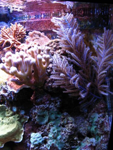 IMG_3082 (Small).jpg