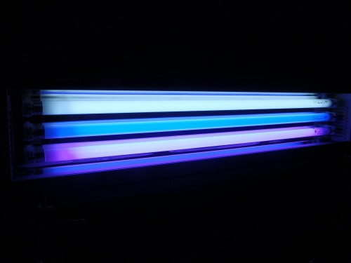 3 * 24 watt t5<br />1 stk 10000 Kelvin hvidt<br />1 stk blåt <br />1 stk Fiji Purple