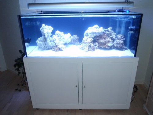 full shot 390 L.jpg