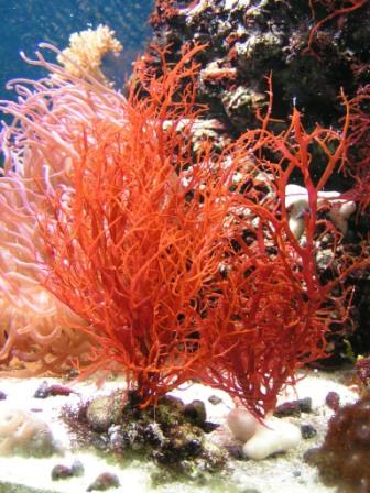 PICT0294.jpg