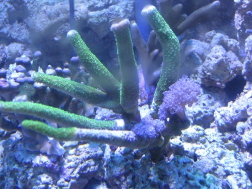 IMG_0845.jpg