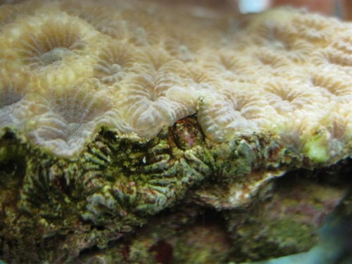 IMG_4221 (Medium).JPG