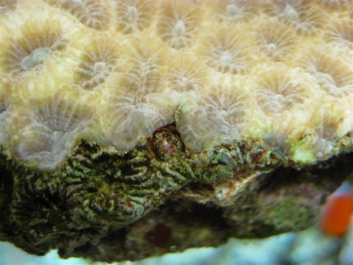 IMG_4222 (Medium).JPG