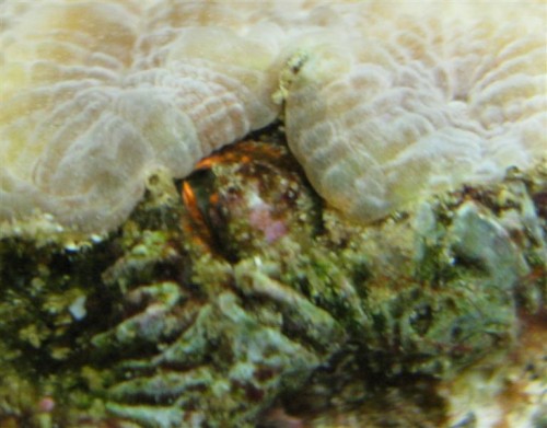 IMG_4225 (Medium).JPG