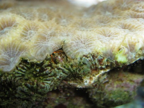 IMG_4226 (Medium).JPG