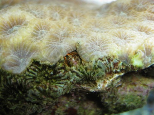 IMG_4227 (Medium).JPG