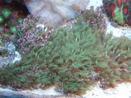 STA63796.JPG