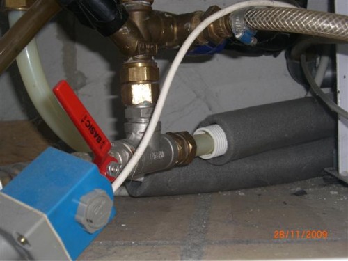 CIMG2515 (Small).JPG