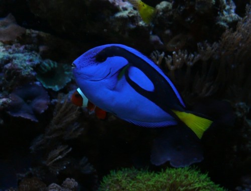 L1000870.jpg