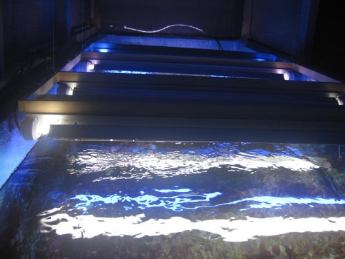 lyset 4stk 2x39watt T5 armaturer
