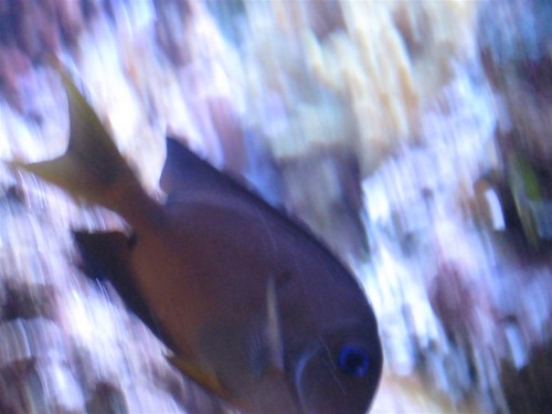 530'er 021 (Large).jpg