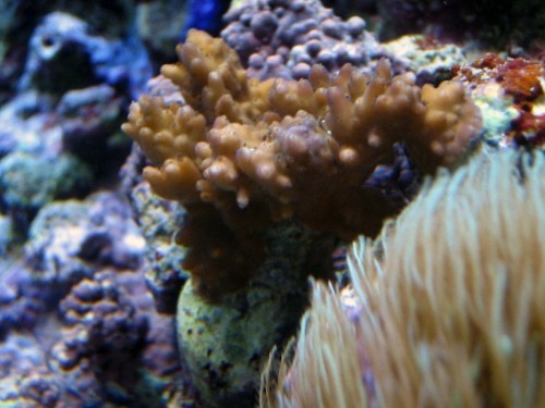 IMG_0316l.jpg