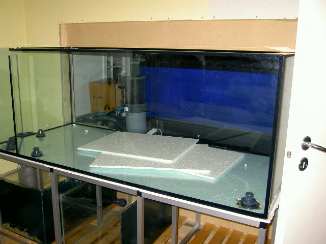 PICT0571.JPG