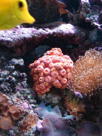 061209 (11).JPG