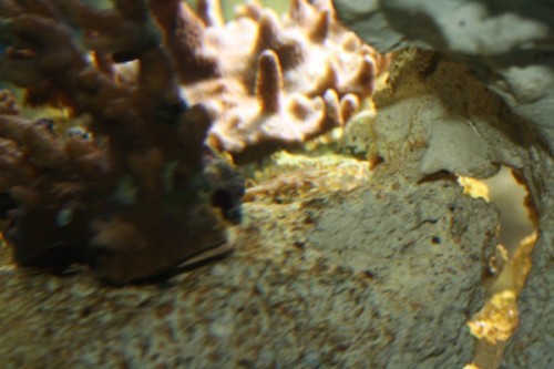IMG_0016.jpg