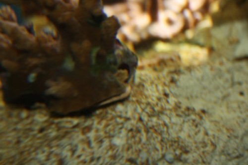 IMG_0019.jpg