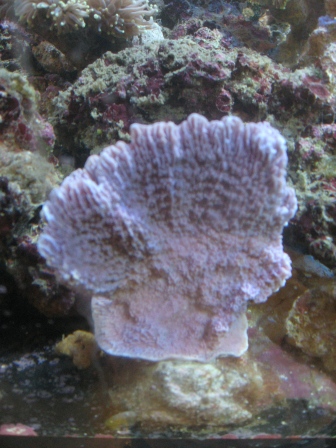 IMG_7473.JPG