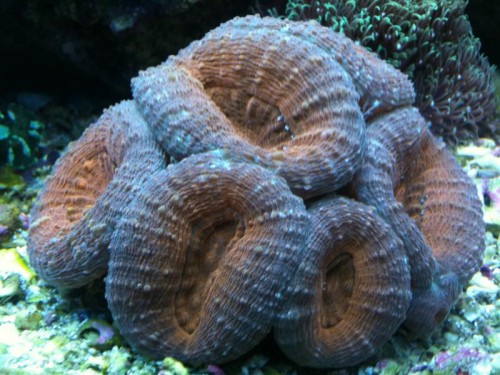 8 (Medium).JPG
