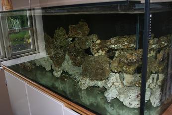 akv 005.jpg