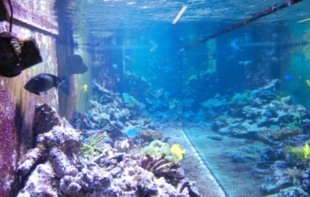 StorcenrrNord 03-01-2010 002.JPG