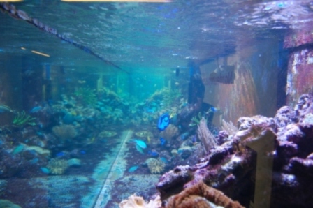 StorcenrrNord 03-01-2010 047.JPG