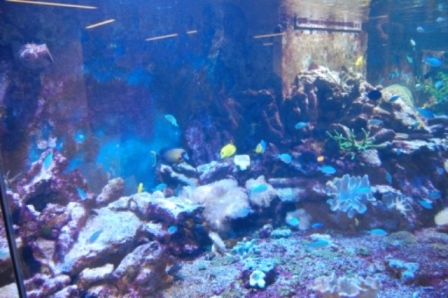 StorcenrrNord 03-01-2010 096.JPG