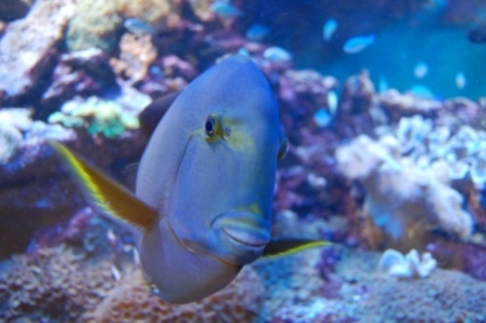 StorcenrrNord 03-01-2010 027.JPG