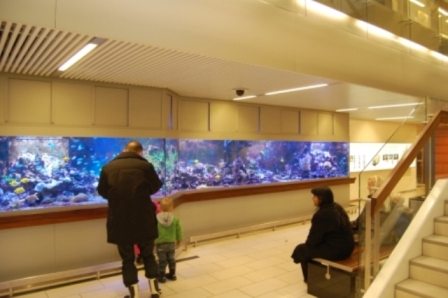 StorcenrrNord 03-01-2010 063.JPG