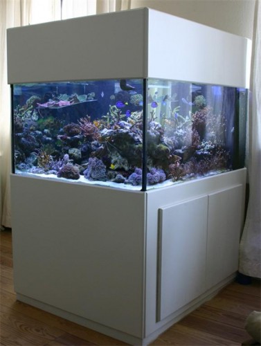 560l_872.jpg