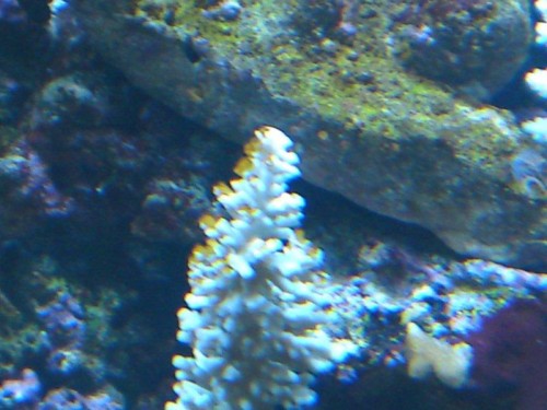 DSC00248.JPG