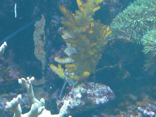 DSC00249.JPG