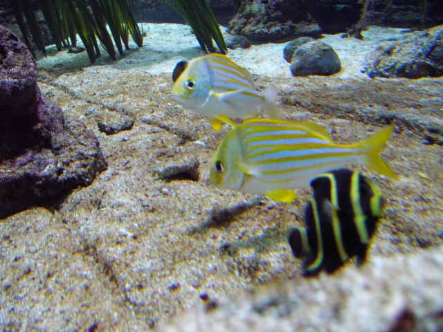 IMAG0749.jpg