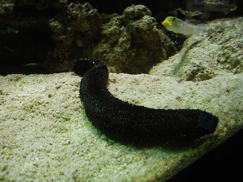 IMG_0442.jpg