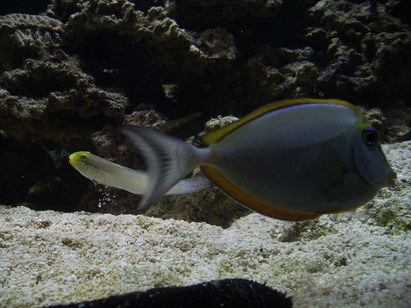 IMG_0433.jpg