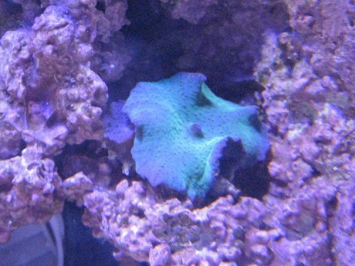 IMG_2133.JPG