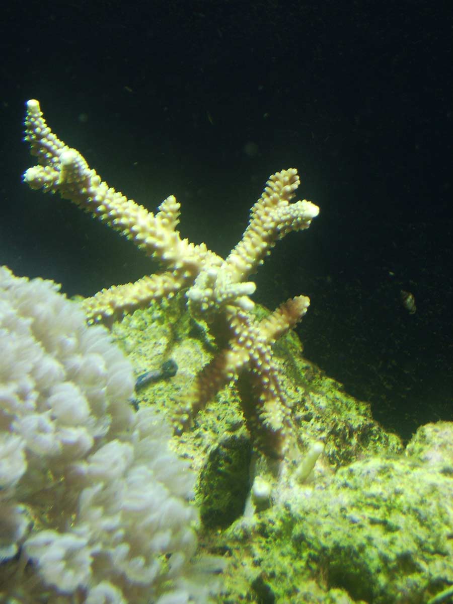 IMG_0320.jpg