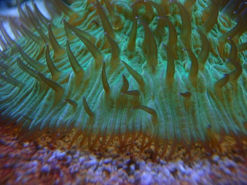 Leg med macro..